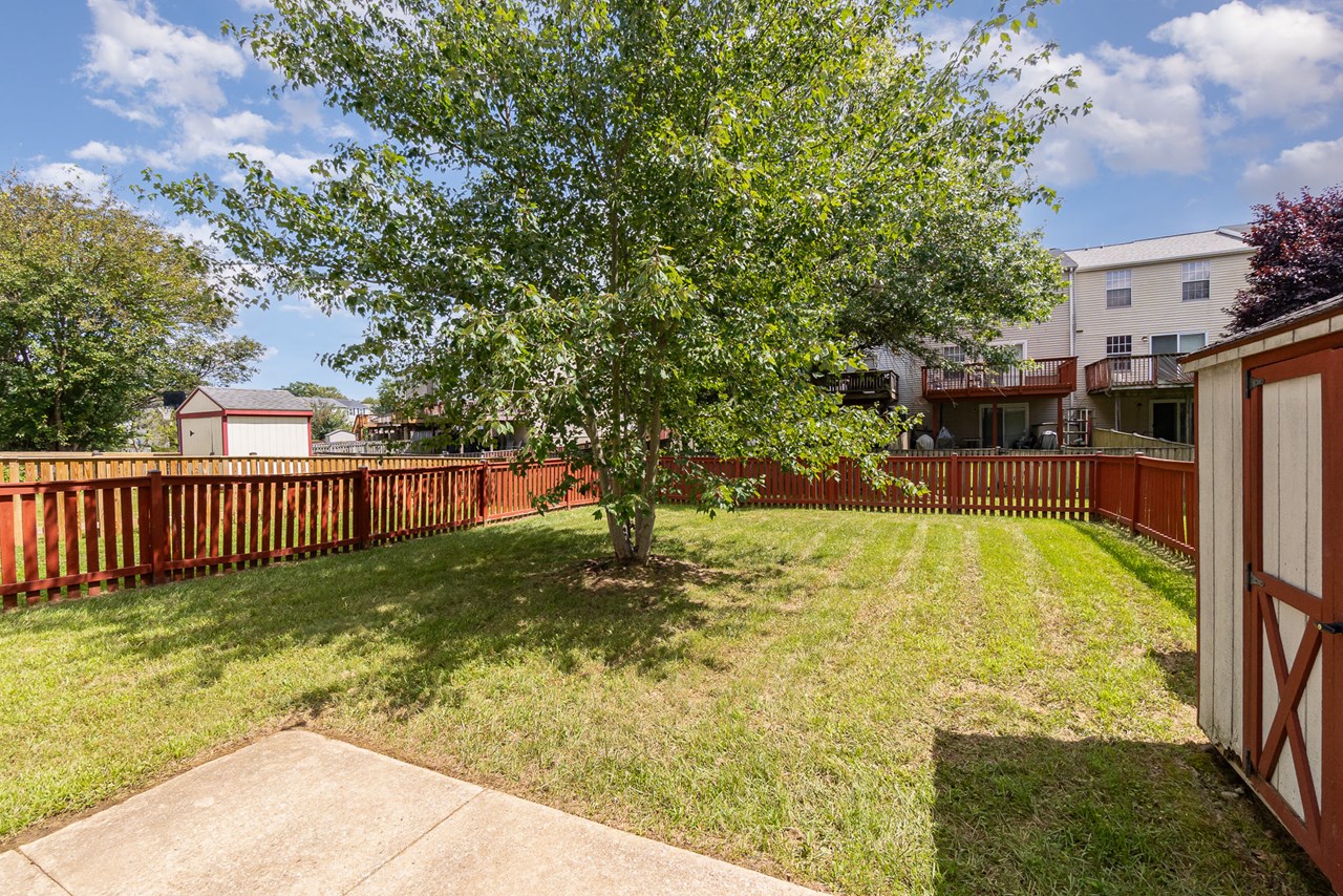 fenced end of group rear yard with shed