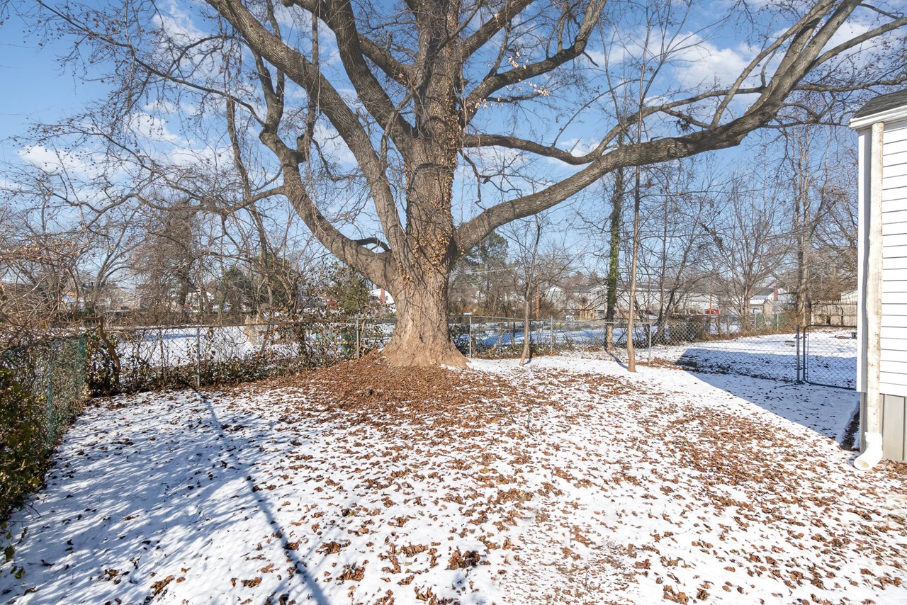 fenced rear yard